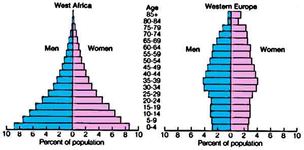 Population Pyramid Rwanda
