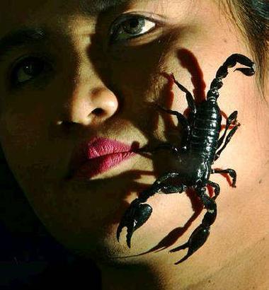 scorpion woman
