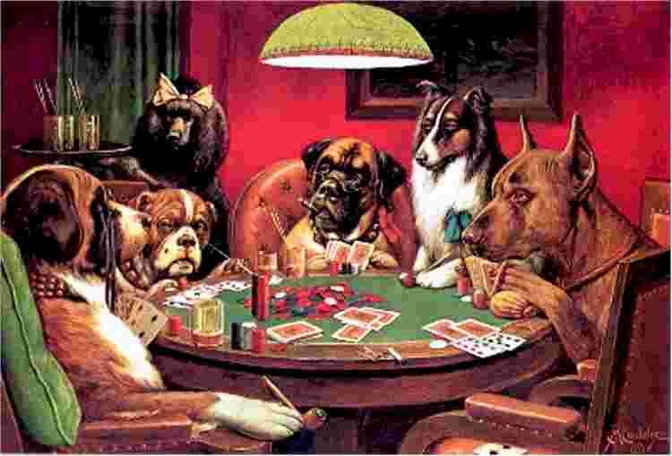 poker dogs image
