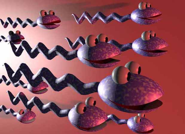 Sarah Michelle Gellar