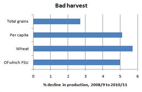 What's Behind the Surge in Food Prices?