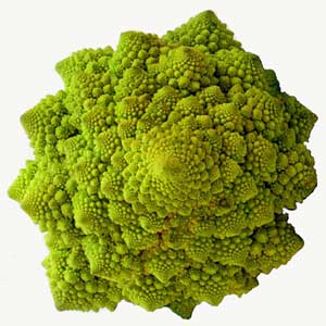 Fractal Food