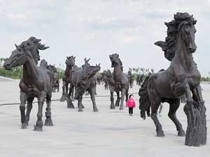 Herd of Mongol Horses