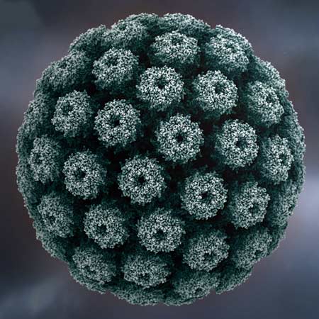 Simian Virus 40: Alive? Or Not?