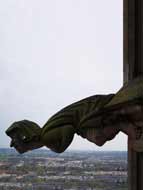 A Great Gargoyle