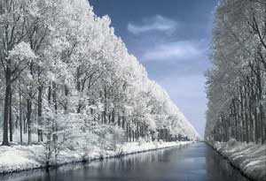 Zwin Inlet, Damme, Belgium