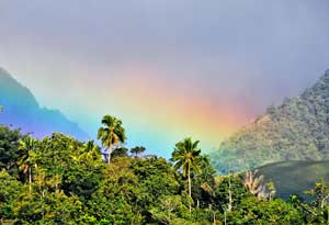 Rainbow in Mist