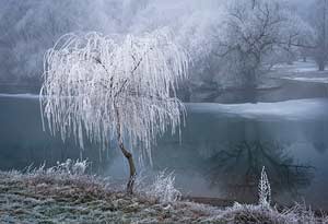 A Frosty Morning on the Rhine