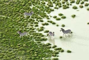 Botswana Bath