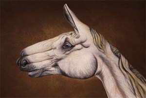 Stallion