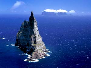 Near Lord Howe Island, New South Wales, Australia