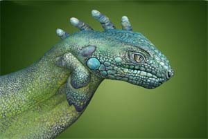 Iguana