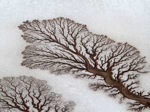 Dry Rivers, Baja California, Mexico