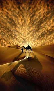 Eternal Things: Camel, Desert, Sun