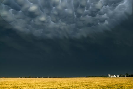 More Mammatus Clouds