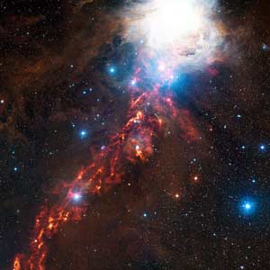 Fiery Ribbon in Orion