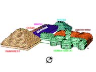 Layout of Biosphere 2