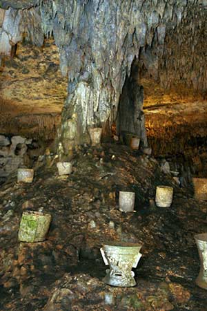 Mayan Tree of Life, Yucatán, Mexico