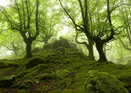 Oiartzun, Basque Country, Northern Spain