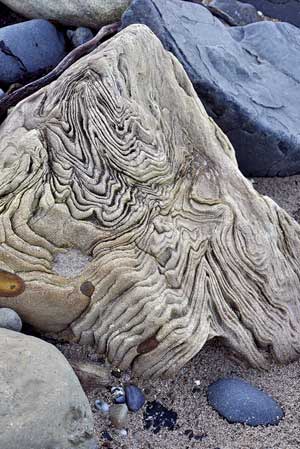 Wrinkly Rock Northumberland