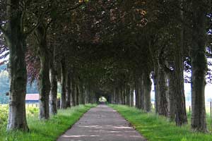 The Tunnel