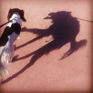 Creepy Shadow