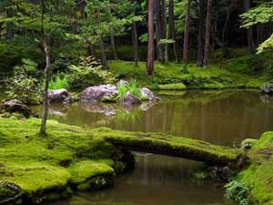 Japanese Moss Garden