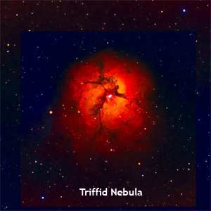 Triffid Nebula