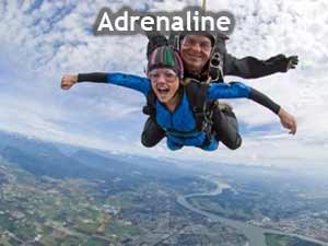 Adrenaline