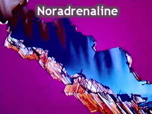 Noradrenaline