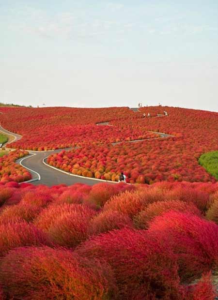 Hitachinaka City, Japan