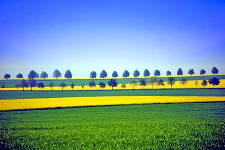 Medessen, Saxony, Germany