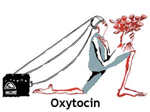 Oxytocin