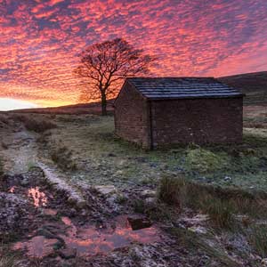 Hot Pink Sunset