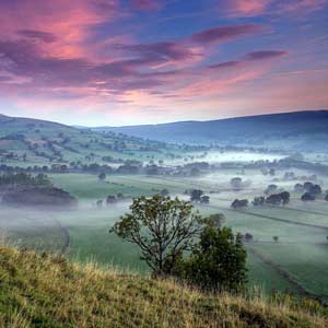 Pale Pink Sunset