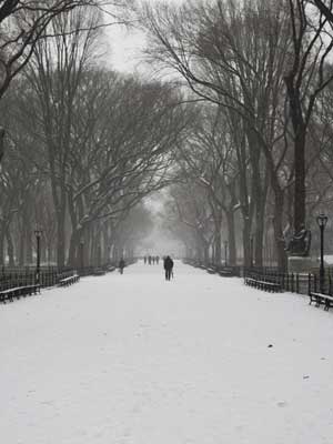 Snow Day in NYC