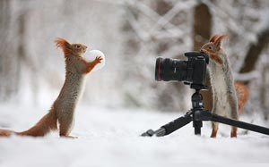 I Told You to Comb Your Hair!