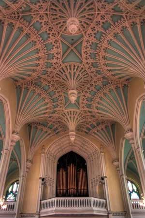 Organ and Ceiling