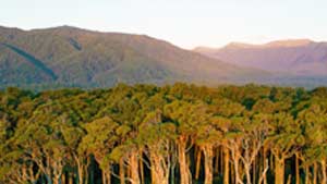 NZ's West Coast