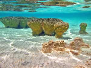 Shark Bay, Western Australia