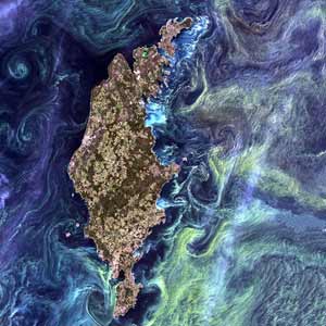 Van Gogh from Space