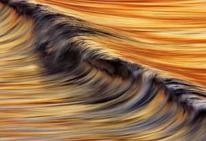 Golden Wave