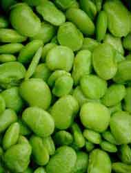 Lima Beans