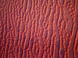 Sahara Desert Sand Pattern