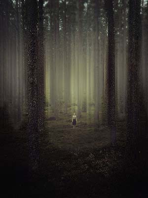 Lost in the Dark Forest