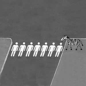 Zebra Crossing