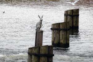 "Can't Do a Thing with My Hare"