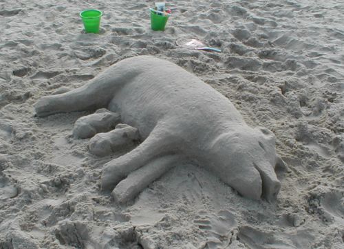 Sand Pig