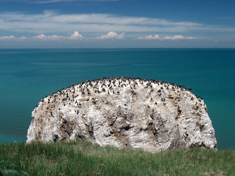 Bird's Island, Qinghai Lake, Qinghai