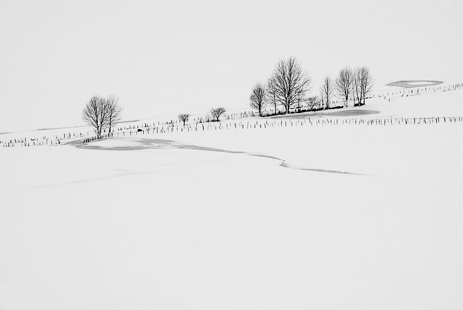 A Portrait of the Asiago Plateau